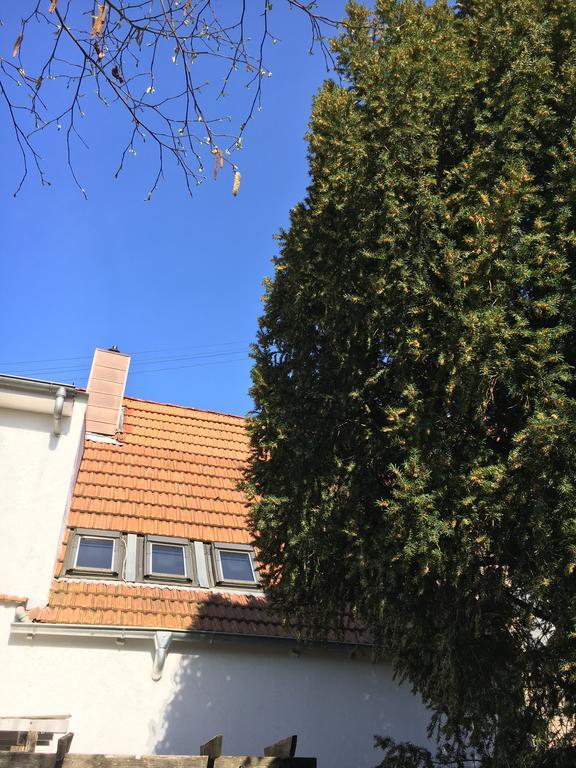 Pension Haus Baron 2 Friedrichsfeld Edingen-Neckarhausen المظهر الخارجي الصورة